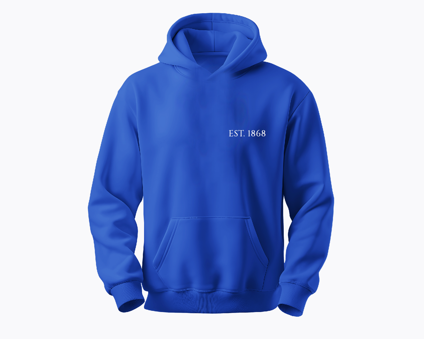 BLUE HU ZADDIE HOODIE